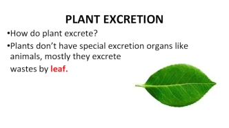 Plant excretion