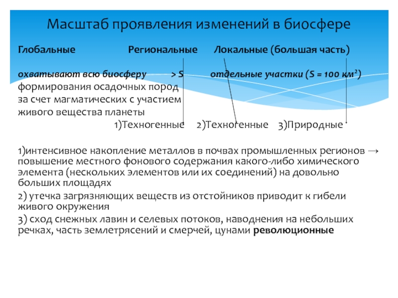 Глобальный региональный локальный уровни