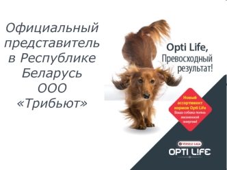 Официальный представитель в Республике Беларусь ООО Трибьют