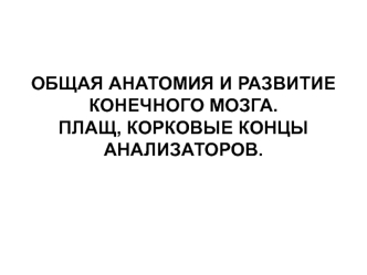 Развитие конечного мозга. Плащ, корковые концы анализаторов