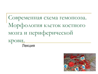 Современная схема гемопоэза. Морфология клеток костного мозга и периферической крови