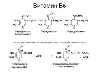 Витамин В6