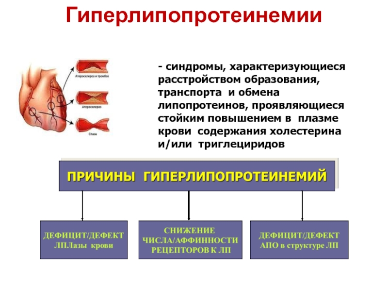 Патофизиология атеросклероза презентация