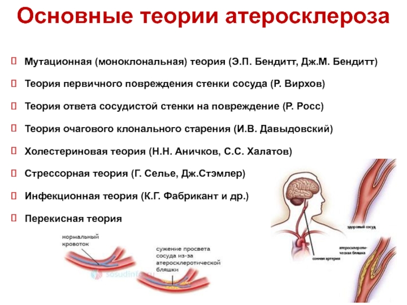 Патофизиология атеросклероза презентация