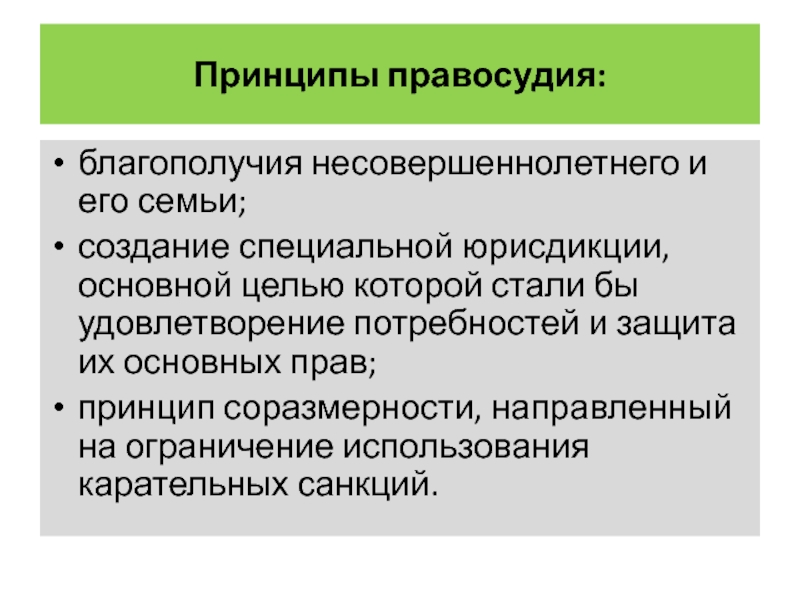 Принципы правосудия. Принципы правосудия несовершеннолетних. Основные аспекты правосудия. Специальные принципы правосудия.