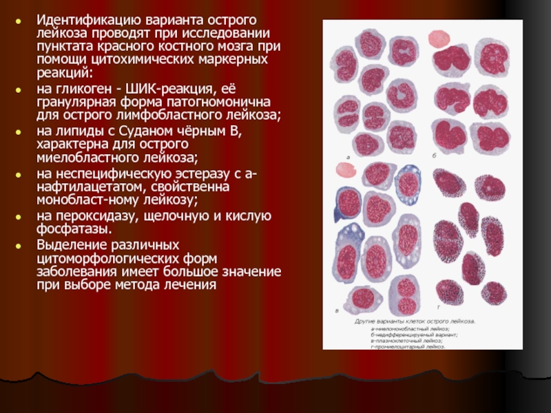 Лейкоз у детей презентация