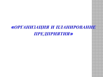 Организация и планирование предприятия