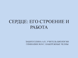 Сердце: его строение и работа