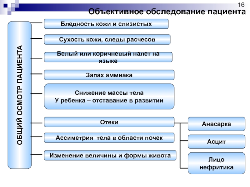 План объективного обследования