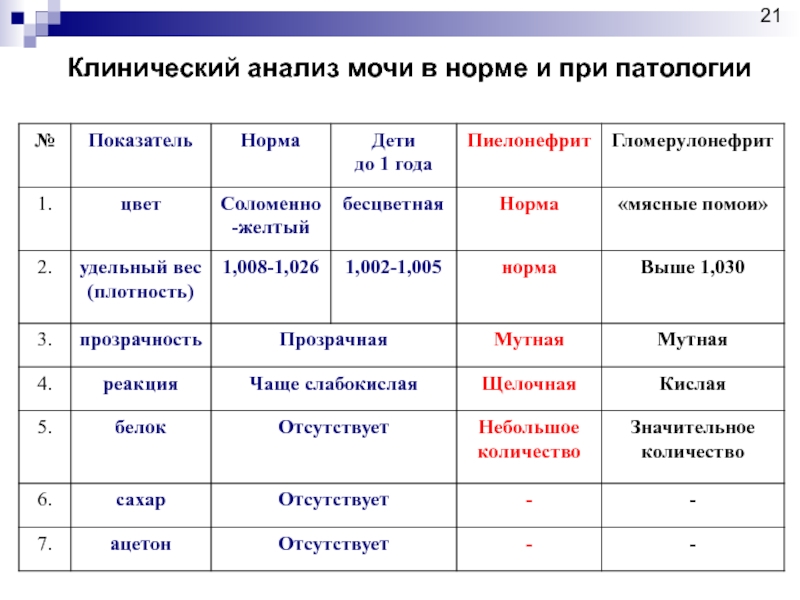 Микроскопическая картина мочи при гломерулонефрите