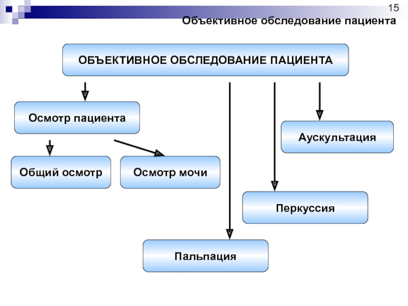 План объективного обследования