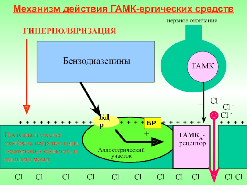 Механизм действия гамк схема