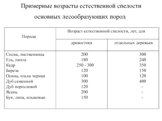 Примерные возрасты естественной спелости основных лесообразующих пород