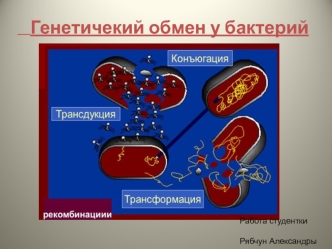 Генетичекий обмен у бактерий