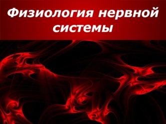 Физиология нервной системы