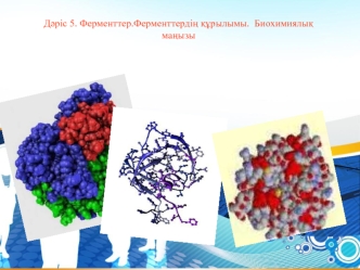 Ферменттер. Ферменттердің құрылымы. Биохимиялық маңызы