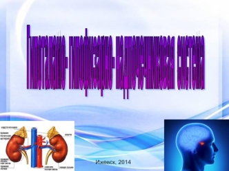 Гипоталамо-гипофизарно-надпочечниковая система