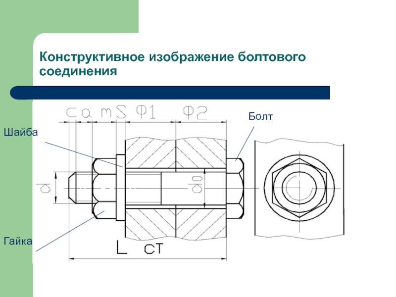 Болт с гайкой и шайбой чертеж