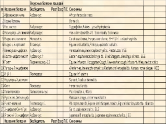 Вирусные болезни лошадей
