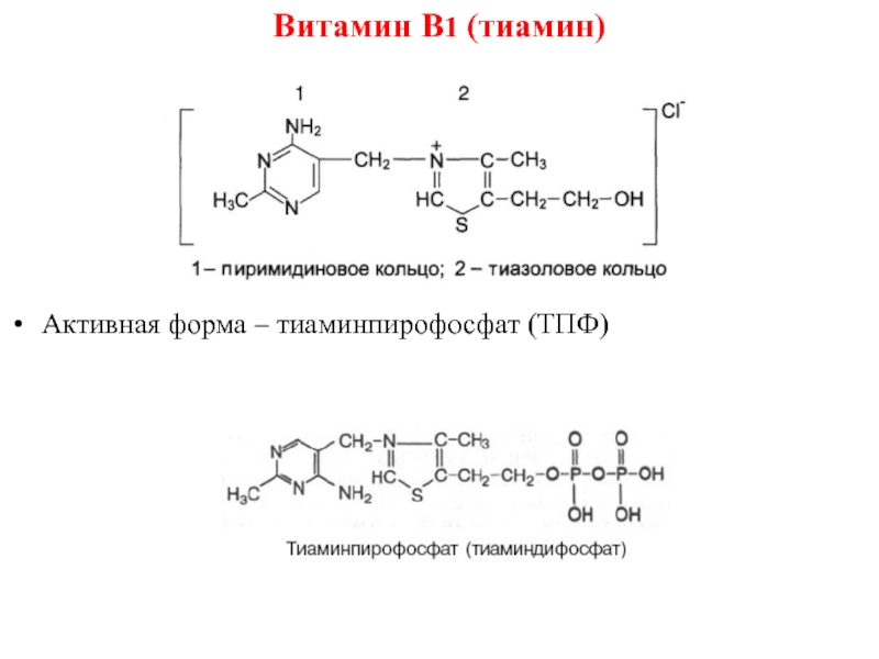 Фолиевая тиамин. Активная форма кофермент витамина b1. Активная форма тиамина. Витамин в7 активная форма формула. Тиаминпирофосфат (ТПФ).