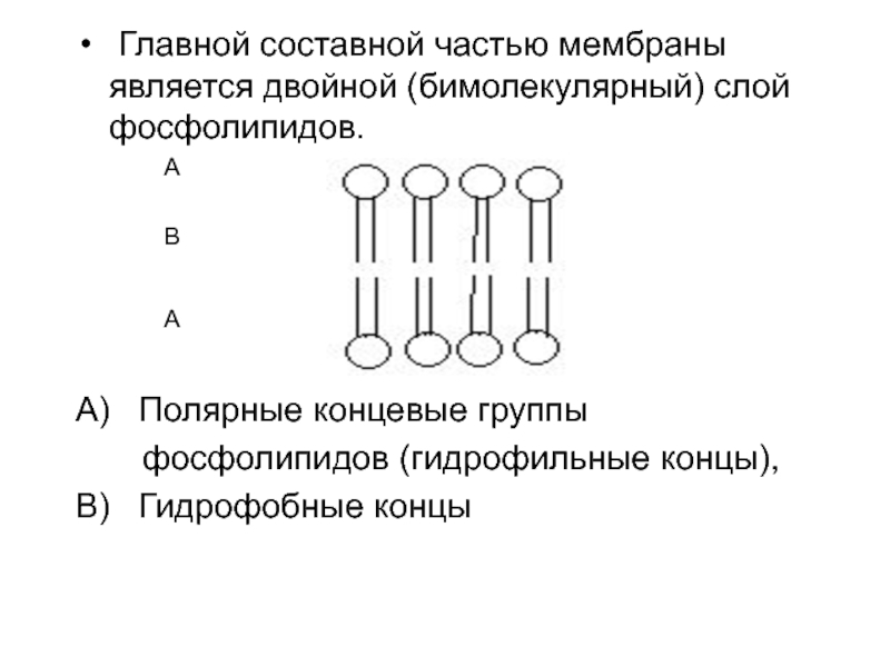 Важной составной частью