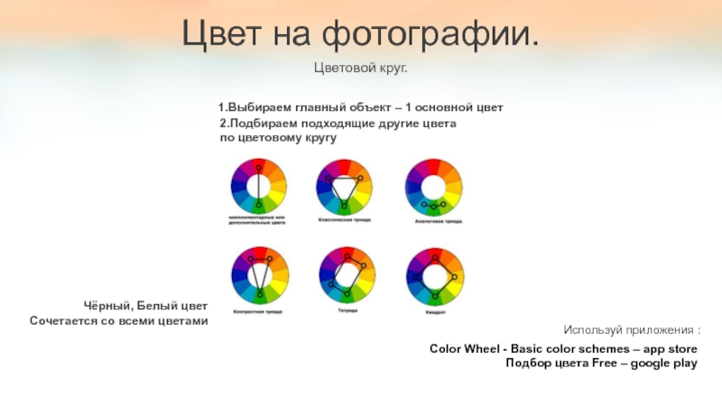 Приложение цветовая схема