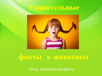 Удивительные факты о животных