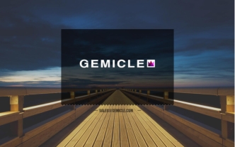 Основная специализация Gemicle