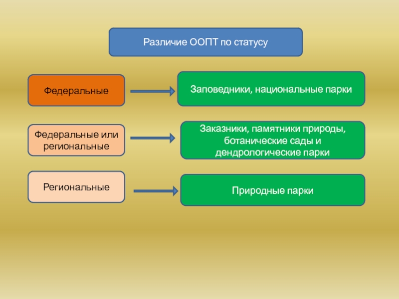 Характеристика оопт по плану