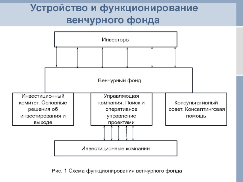 Создание венчурных предприятий обеспечивающих реализацию рисковых проектов называется