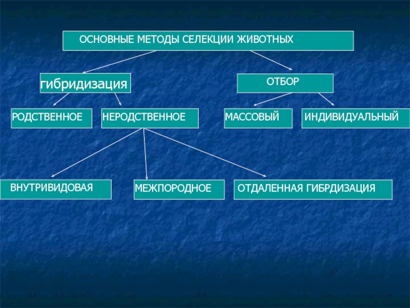 Основные методы селекции презентация