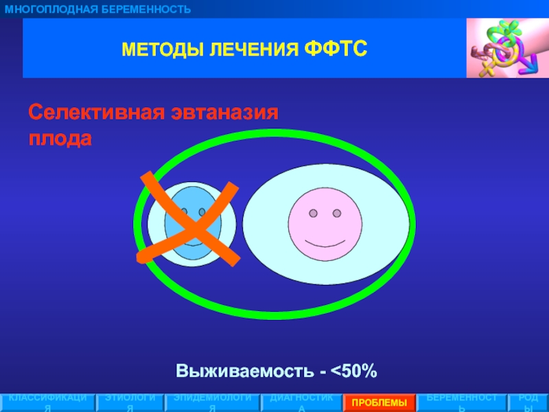 Фето фетальный трансфузионный синдром. Этиология многоплодной беременности. Этиология и классификация многоплодной беременности.