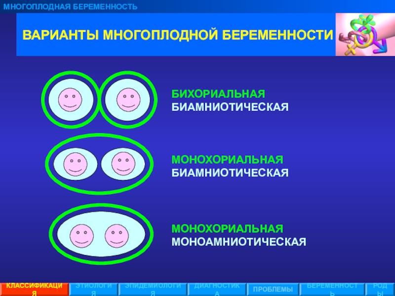 Многоплодная беременность. Классификация многоплодной беременности Акушерство. Монохориальная многоплодная беременность. Монохориальная моноамниотическая. Классификация двойни.