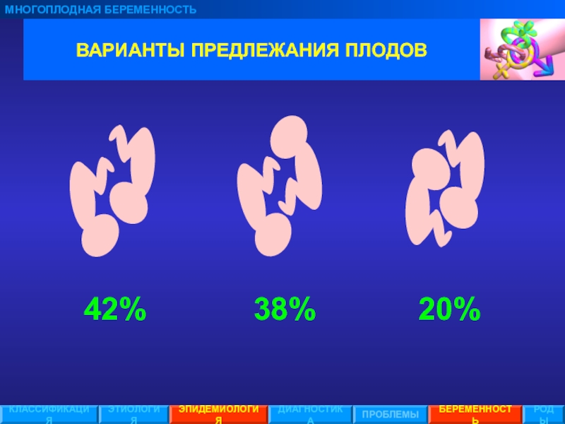 Многоплодная беременность