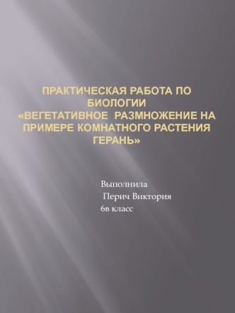 Вегетативное размножение на примере комнатного растения герань