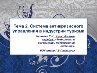 Система антикризисного управления в индустрии туризма. (Тема 2)