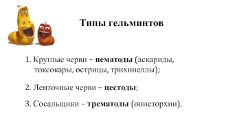 Типы гельминтов