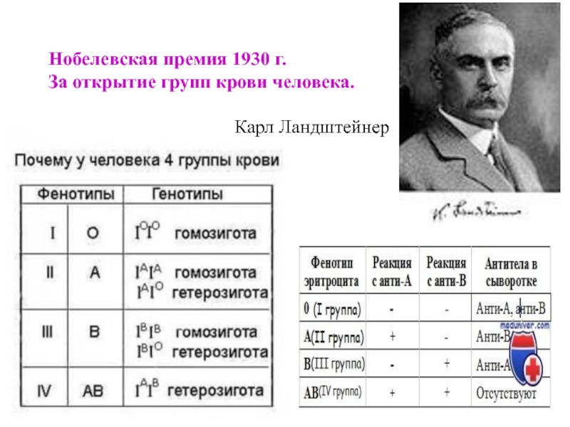 Карл ландштейнер открытие групп крови презентация