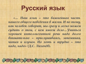 Русский язык. Пиши правильно
