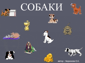 Собаки. Породы собак