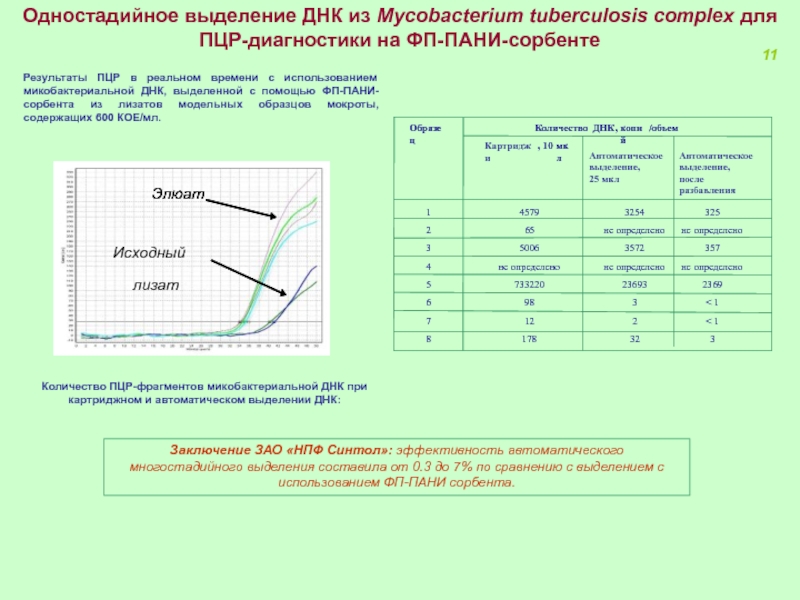 Выделение днк пцр