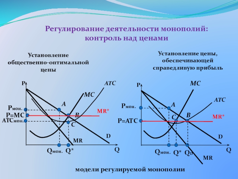 Деятельность фирмы в условиях монополии проект