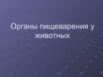 Органы пищеварения у животных