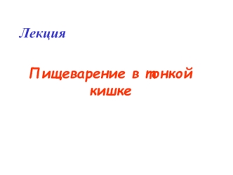 Лекция. Пищеварение в тонкой кишке