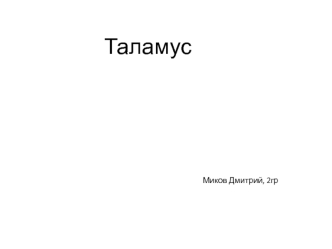 Таламус. Устройство таламуса