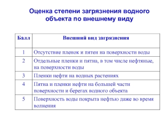 Оценка степени загрязнения водного объекта по внешнему виду