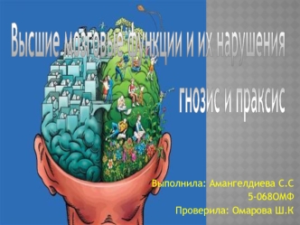 Высшие мозговые функции и их нарушения. Гнозис и праксис