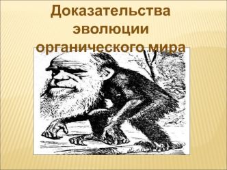 Доказательства эволюции органического мира. (11 класс)