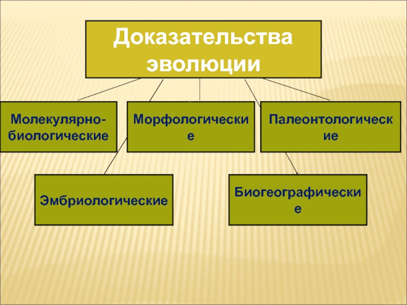 Выберите доказательство эволюции