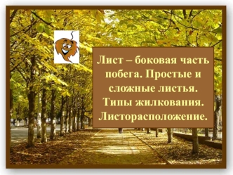 Лист – боковая часть побега. Простые и сложные листья. Типы жилкования. Листорасположение